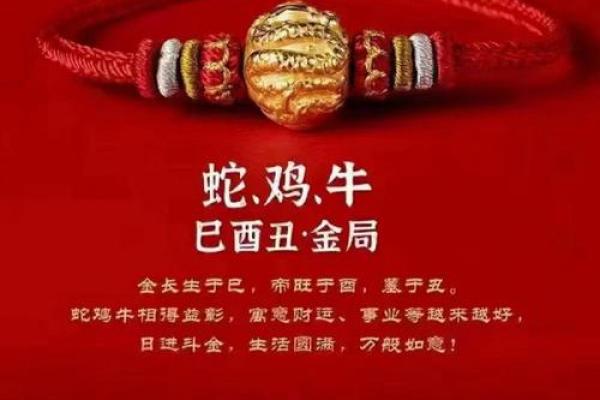 2023年兔子五行属性解析属什么运势如何 2023年兔子五行属性解析属什么运势如何