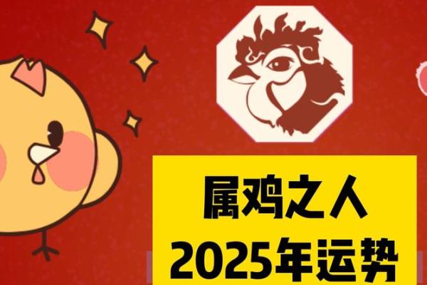 2025年属猪的幸运色是什么颜色_2025年属鸡的幸运数字和颜色