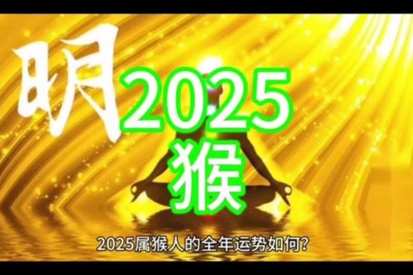 2025年的属狗运势大全_属狗2025年运势及运程每月运程狗