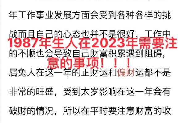 2025年87年属兔人运势详解财运事业感情全解析 2025年87年属兔人运势详解财运事业感情全解析