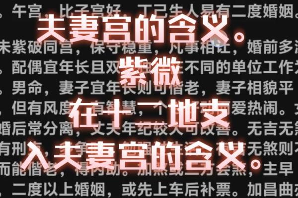 夫妻宫紫微化权 夫妻宫紫微化权揭秘婚姻运势与权力格局 夫妻宫紫微化权 夫妻宫紫微化权揭秘婚姻运势与权力格局