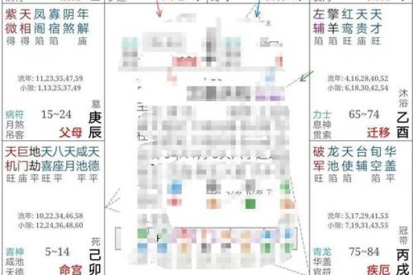 2025年3月11日寅时女命紫微斗数全解盘
