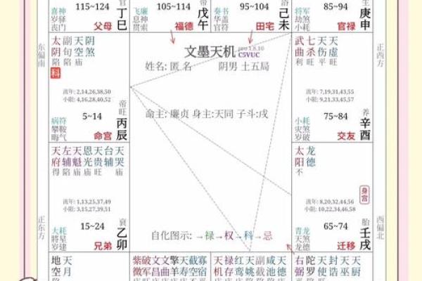 八字紫微斗数解析揭秘命运密码与人生运势