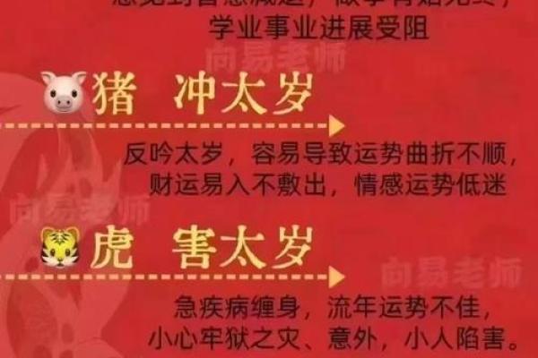 实地入胍旺千年指什么生肖呀(实地入脉旺千年是什么动物)