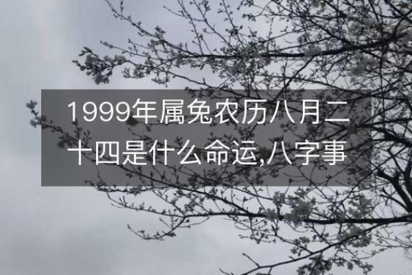 1999年属兔的命_1999年属兔的命格