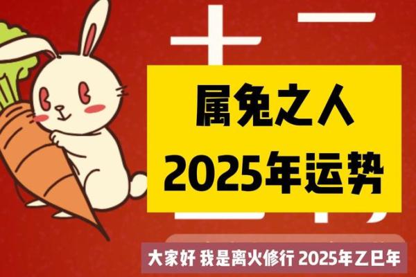 2025年土兔运势详解财运事业爱情全面解析
