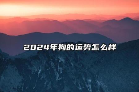 1982年属狗男2024年运势详解全年运程大揭秘