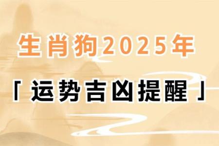 82年属狗女2025年运势完整版_82年属狗女2025年运势详解事业财运感情全解析