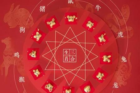 1971年属猪未来5年运势_属羊人1979年2025年运势