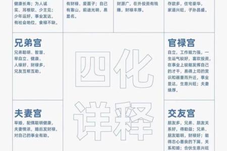 2025年2月17日卯时男命紫微斗数全解盘