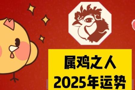 2025年属猪的幸运色是什么颜色_2025年属鸡的幸运数字和颜色