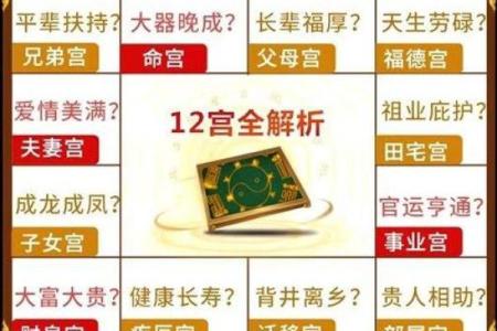 2025年3月22日子时女命紫微斗数全解盘