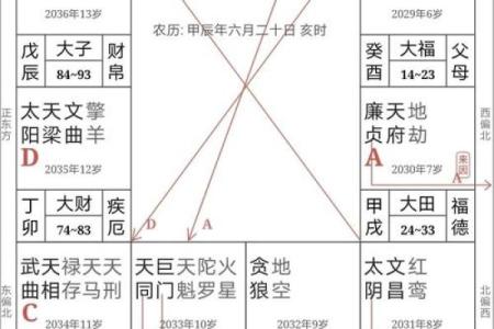 2025年3月23日子时男命紫微斗数全解盘
