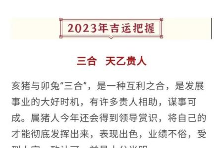 猪2025年运势及运程_2025年猪的运势流年运程