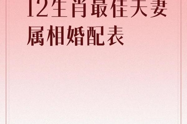99年属兔人最佳婚配属相大揭秘