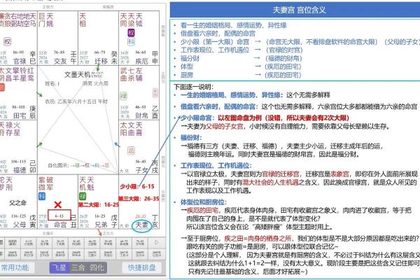 八字夫妻宫在哪里_八字夫妻宫位置解析如何准确找到你的婚姻宫位