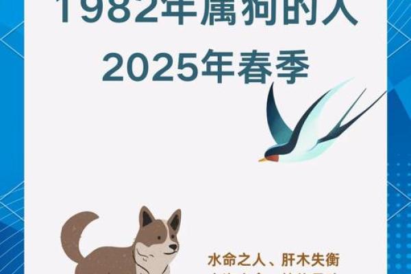 2006年狗五行属什么命 2006年狗五行缺啥 2006年狗五行属什么命 2006年狗五行缺啥