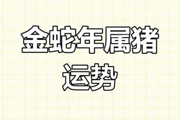 属猪女2025年运势_属猪女2025年运势及运程详解