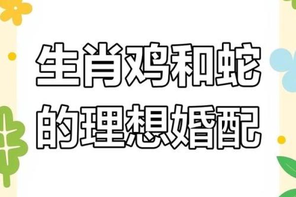 属鸡男命中注定的妻子是谁揭秘最佳婚配对象