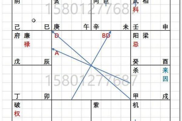 2025年3月15日丑时男命紫微斗数全解盘