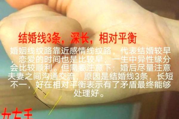 免费姻缘测试揭秘你的爱情运势与最佳配对 免费姻缘测试揭秘你的爱情运势与最佳配对