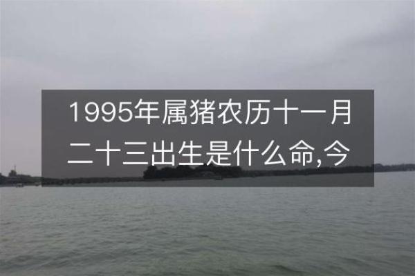 1995年属猪的命运与婚姻_1995年属猪的命运好吗