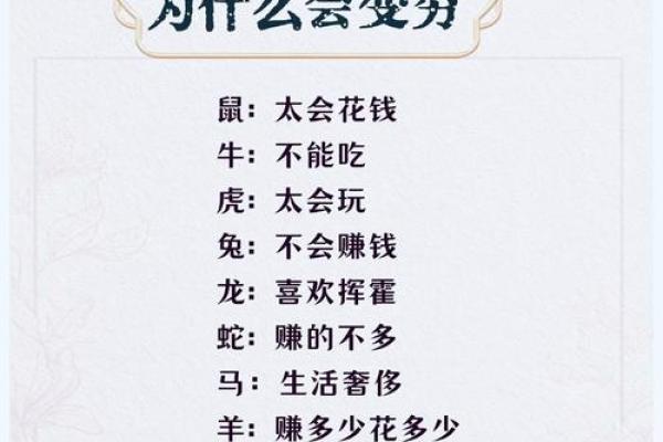 身无分文的生肖是什么(身无分文意思是什么意思)