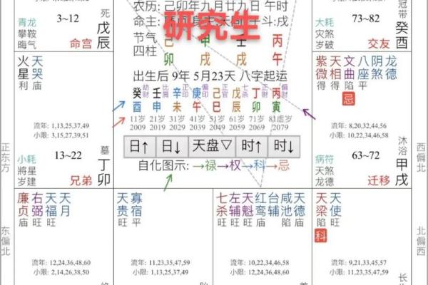 2025年3月6日子时男命紫微斗数全解盘