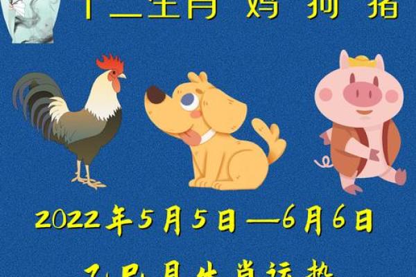19年1月21属猪还是属狗_19年11月属猪的是什么命 19年1月21属猪还是属狗_19年11月属猪的是什么命