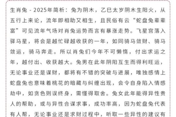 2025属兔的运势和财运怎么样_2025年生肖兔 2025属兔的运势和财运怎么样_2025年生肖兔