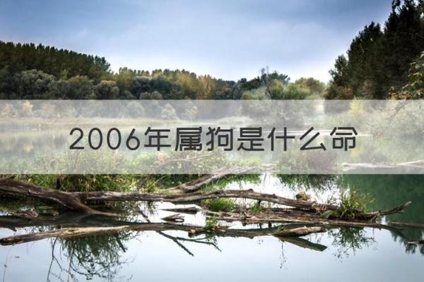 2006年属狗几点出生最好命_2006年属狗几点出生最好命男