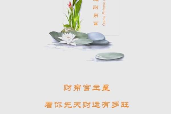 财帛空宫 财帛空宫解析财富运势与破解之道