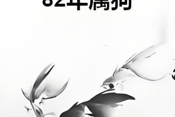 1982年属狗2025年的运势及运程_1982年的狗在2025年怎么样
