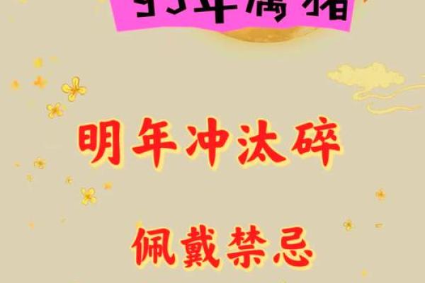 2025年属猪人年龄详解今年你多大