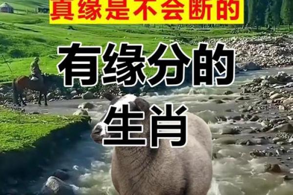 属羊67年寿命_属羊67年寿命劫数59岁要当心意外 属羊67年寿命_属羊67年寿命劫数59岁要当心意外