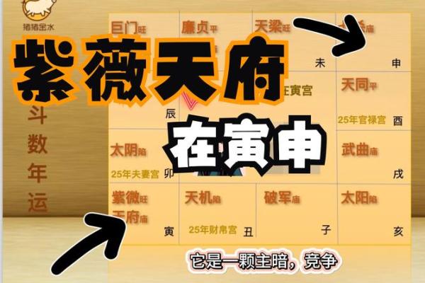 2025年3月20日丑时男命紫微斗数全解盘