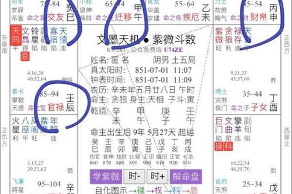 父母宫化忌是什么意思_父母宫化忌解析命理中的家庭关系与运势影响 父母宫化忌是什么意思_父母宫化忌解析命理中的家庭关系与运势影响