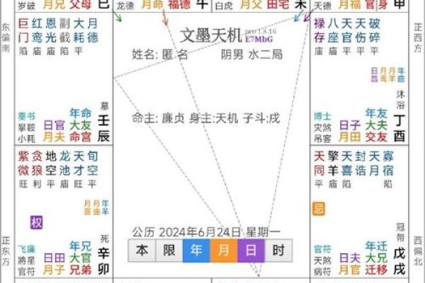 2025年3月3日子时男命紫微斗数全解盘
