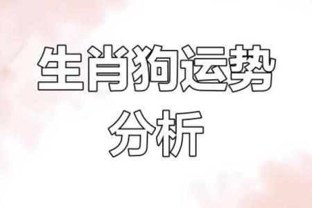 1970年属狗女今日财运解析运势如何提升