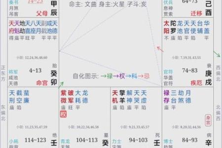 财帛宫天梁解析财运与命运的深度揭秘