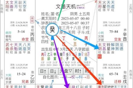 2025年3月28日丑时男命紫微斗数全解盘