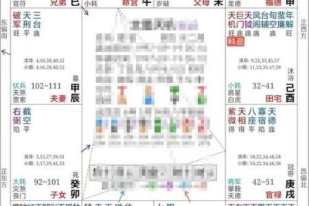 2025年3月2日卯时男命紫微斗数全解盘