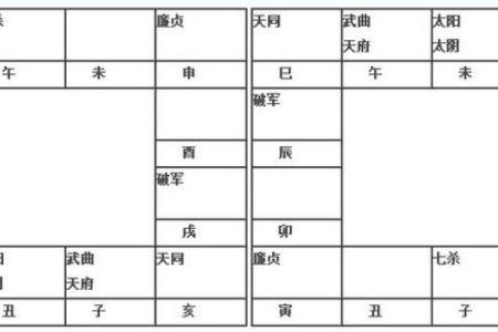 2025年2月24日寅时男命紫微斗数全解盘