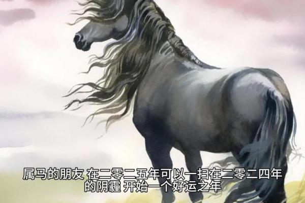 78年属马男2025会添人进口吗 78年属马男2025能否添人进口生肖运势深度解析 78年属马男2025会添人进口吗 78年属马男2025能否添人进口生肖运势深度解析