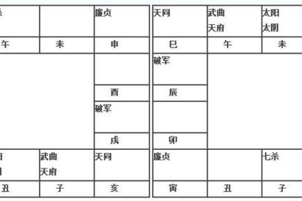 2025年2月24日子时女命紫微斗数全解盘 2025年2月24日子时女命紫微斗数全解盘