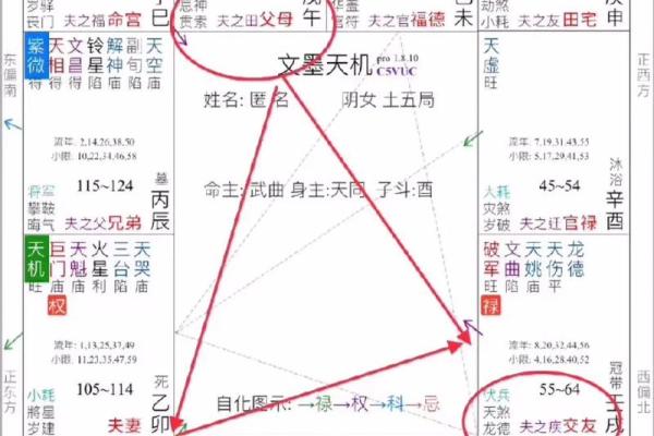 2025年3月3日寅时女命紫微斗数全解盘