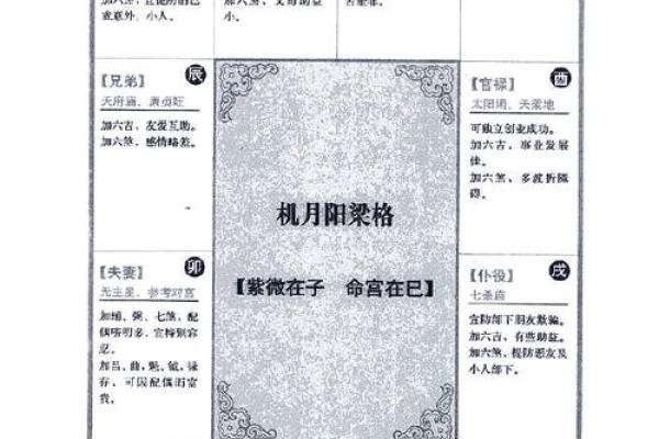 2025年3月11日子时男命紫微斗数全解盘