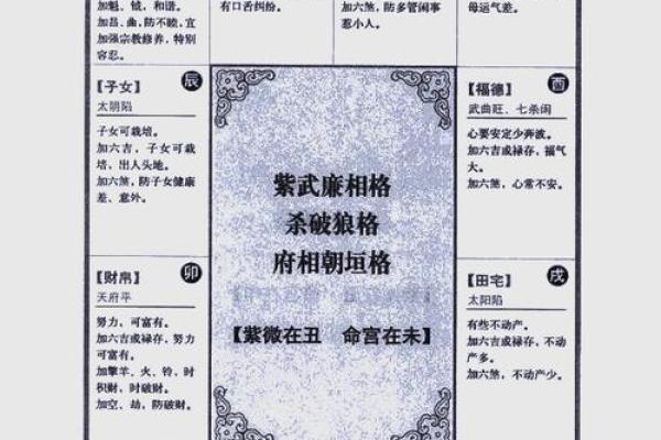 2025年3月25日寅时男命紫微斗数全解盘