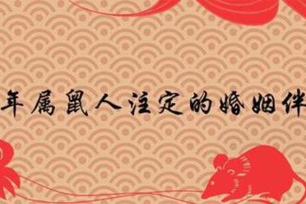 96年属鼠男最佳婚配表_96年属鼠男最佳婚配表和虎