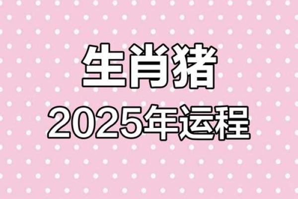1983属猪的2025运势怎么样_2025属猪人1995的全年运势如何 1983属猪的2025运势怎么样_2025属猪人1995的全年运势如何